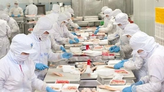 Một cổ phiếu thủy sản được khuyến nghị MUA với kỳ vọng tăng 41%
