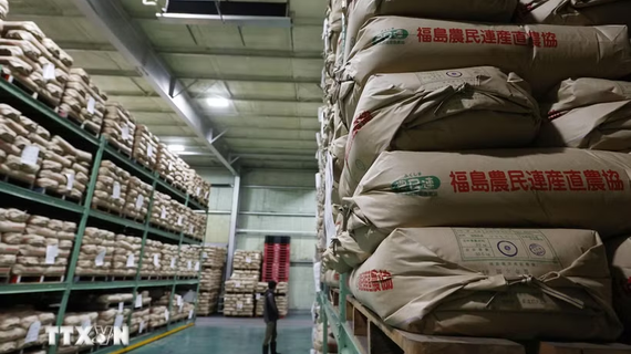 Giá gạo tại Nhật Bản giảm xuống mức thấp nhất kể từ cuối năm 2024
