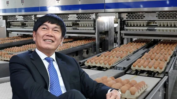 Màn IPO “đau thương” của tỷ phú Trần Đình Long: Cổ phiếu HPA giảm 28% sau 6 tháng lên sàn, liên tục dò đáy mới