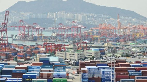 Xuất khẩu Hàn Quốc đạt gần 99 tỷ USD trong tháng 7 nhờ ngành bán dẫn
