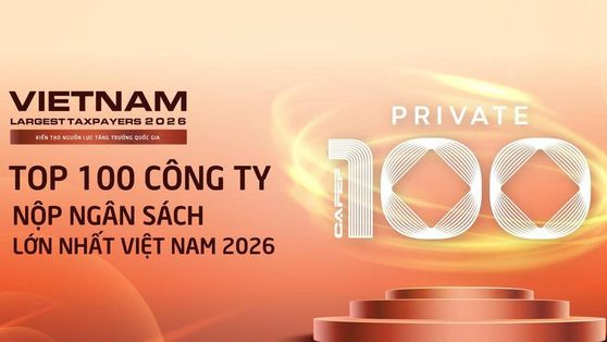 100 doanh nghiệp tư nhân nộp ngân sách lớn nhất Việt Nam: Tổng nộp 390.700 tỷ đồng, đóng góp gần 15% ngân sách quốc gia