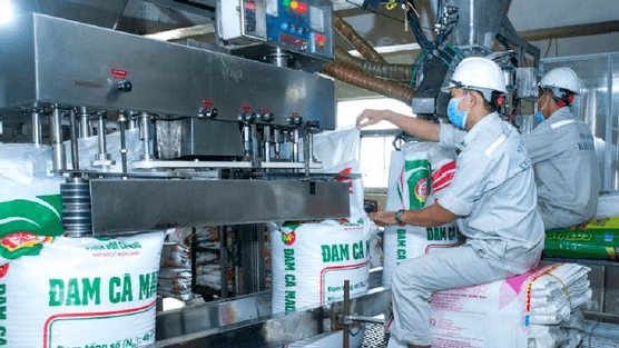 Loạt lãnh đạo Đạm Cà Mau (DCM) nhận thù lao “khủng”, có người bình quân vượt 1 tỷ đồng mỗi tháng