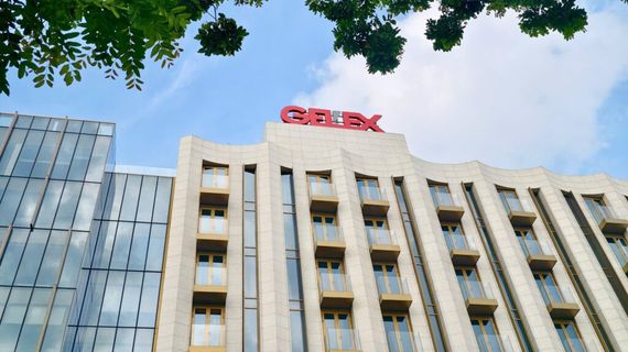 GELEX: Vụ khởi tố ông Đặng Phan Tường không ảnh hưởng đến hoạt động của tập đoàn và các công ty thành viên