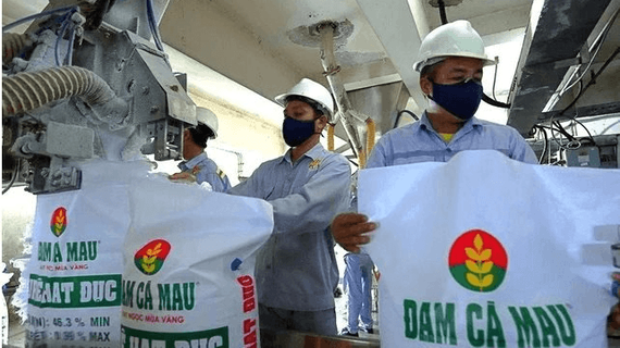 Phó Tổng Giám đốc Đạm Cà Mau (DCM) thôi chức trước thềm ĐHĐCĐ bất thường