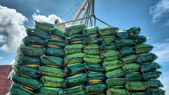 Thực trạng xuất khẩu gạo vào Philippines và bài toán cần tháo gỡ