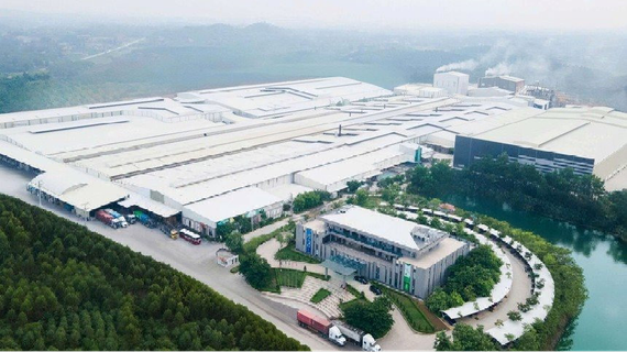 Trước thềm huy động vốn gần 800 tỷ đồng, Amy Grupo của Chủ tịch 75 tuổi báo lãi giảm 13%