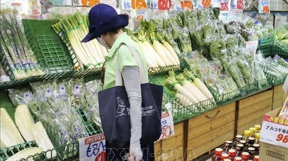 Tiền lương tại Nhật Bản tăng mạnh nhất trong gần 30 năm