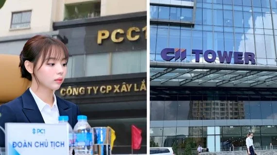 Nhóm CII tiếp tục gom cổ phiếu công ty có nữ Chủ tịch SN 1999, sở hữu lần đầu tiên vượt 13%