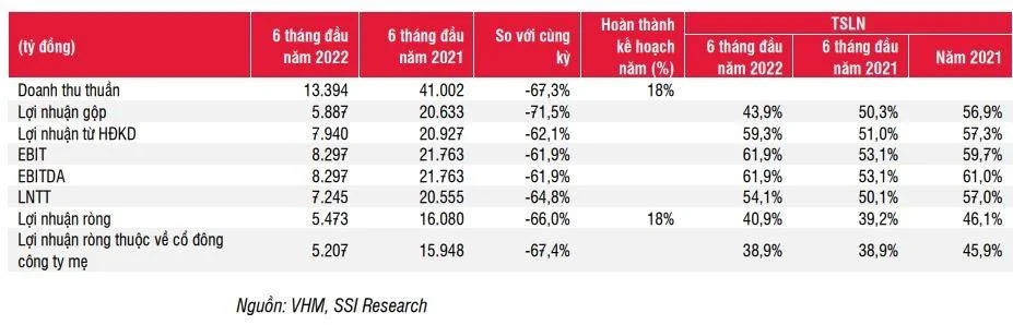 ssi-research-hon-80-doanh-thu-va-loi-nhuan-cua-vinhomes-se-roi-vao-6-thang-cuoi-nam-20221017145111-8621.jpg
