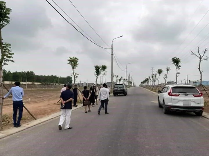 dat-quang-tri-01-1648740459441521870942-3349.jpg