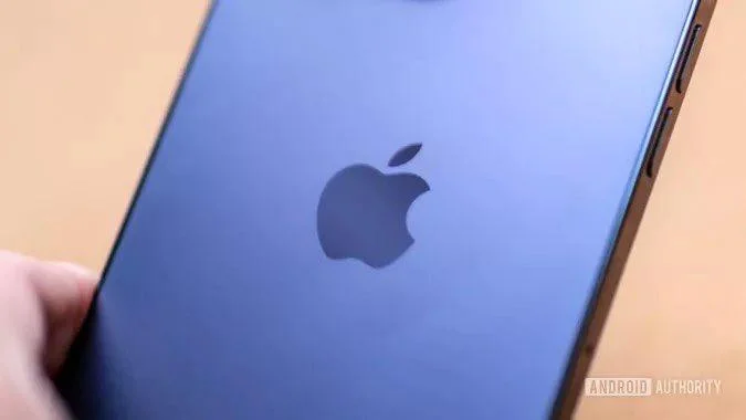 309367413-1346228259480895-1038744013392190187-n-6475.jpg