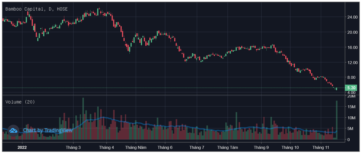 bi-ban-giai-chap-do-sai-sot-chu-tich-bamboo-capital-dang-ky-mua-lai-5-trieu-co-phieu-bcg-20221116233057.png?rt=20221116233059