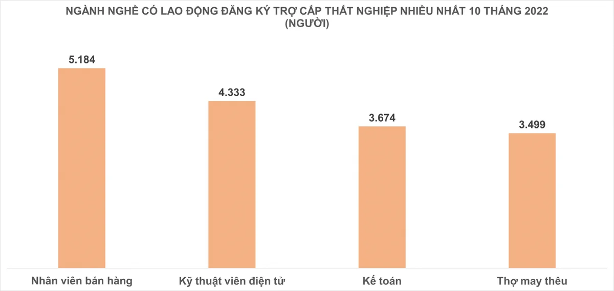 nganh-nghe-nao-co-lao-dong-mat-viec-nhieu-nhat-20221123111901-7539.png