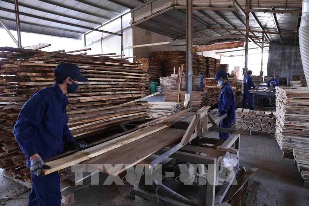 145736-tong-gia-tri-xuat-khau-go-va-lam-san-den-thang-9-2019-cua-ca-nuoc-tang-18-1-20220730113458-6514.jpg