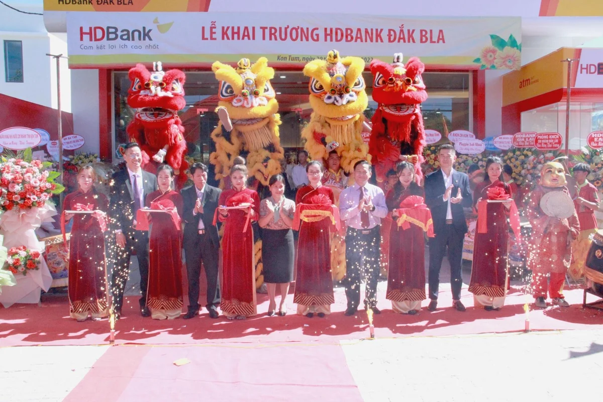 hdb1-320221129164715-8827.jpg