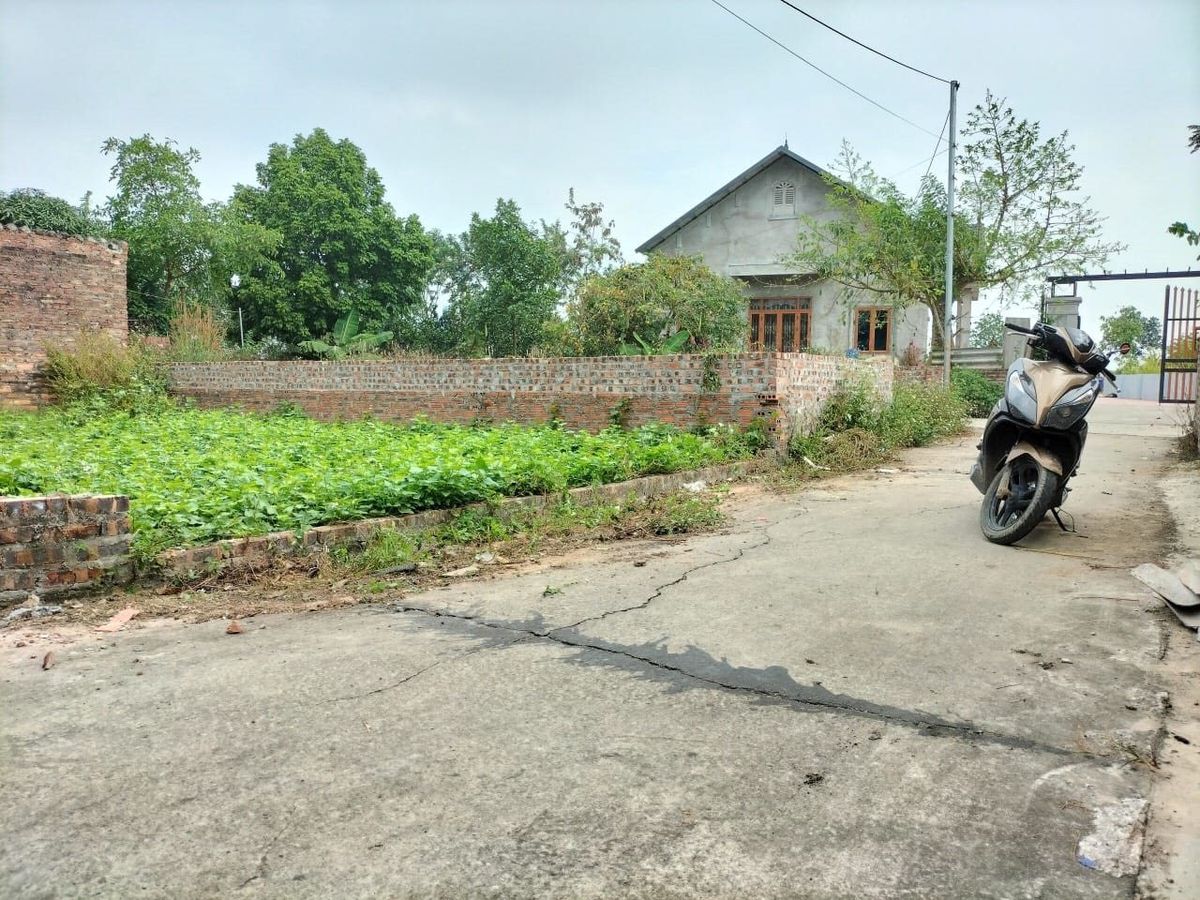 dong-anh-3-2637.jpg
