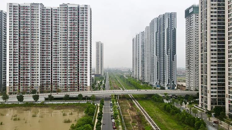 6-9960.jpg