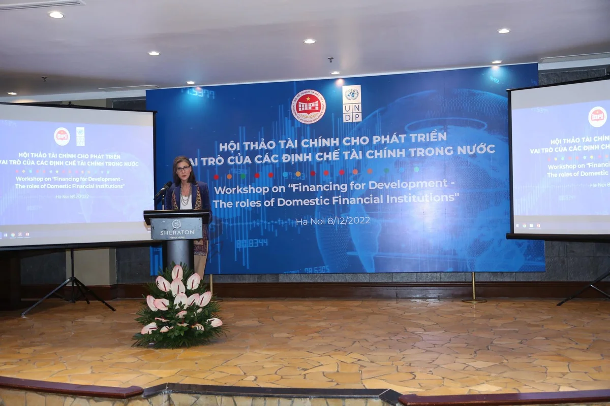 doi-voi-nen-kinh-te-nhu-viet-nam-tai-tro-quoc-te-se-chi-cung-cap-nguon-von-bo-sung-20221208170752-8268.jpg