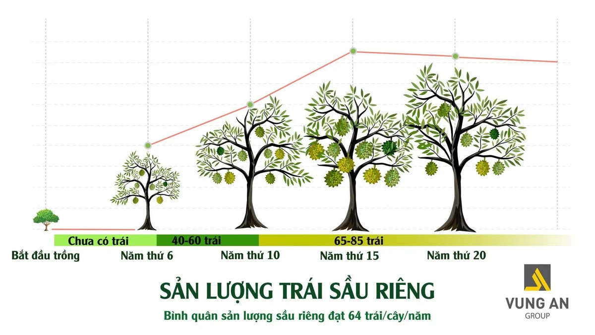 bat-dong-san-trong-sua-11-2561.jpg
