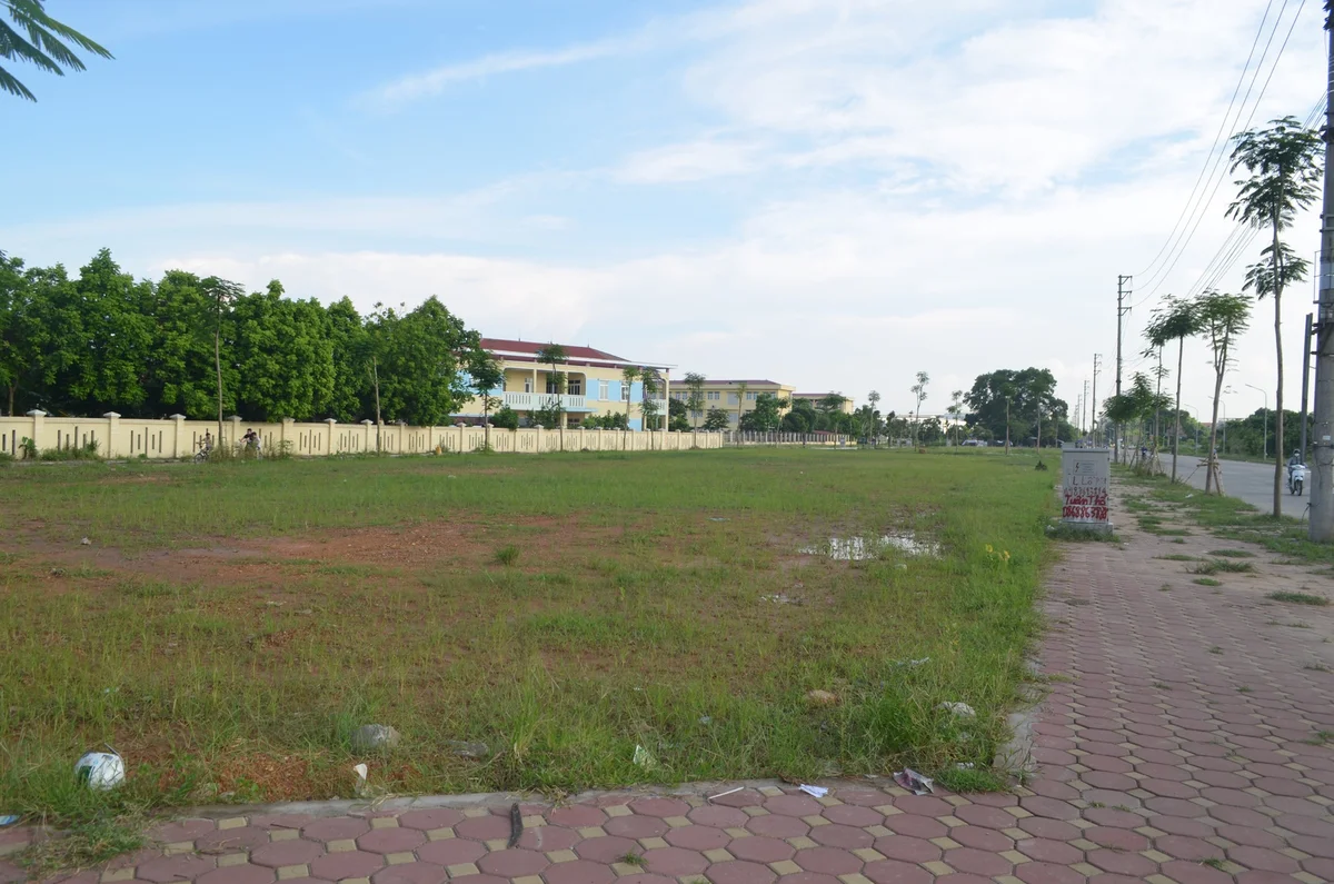 dau-gia-165786997062980211259-4226.jpg