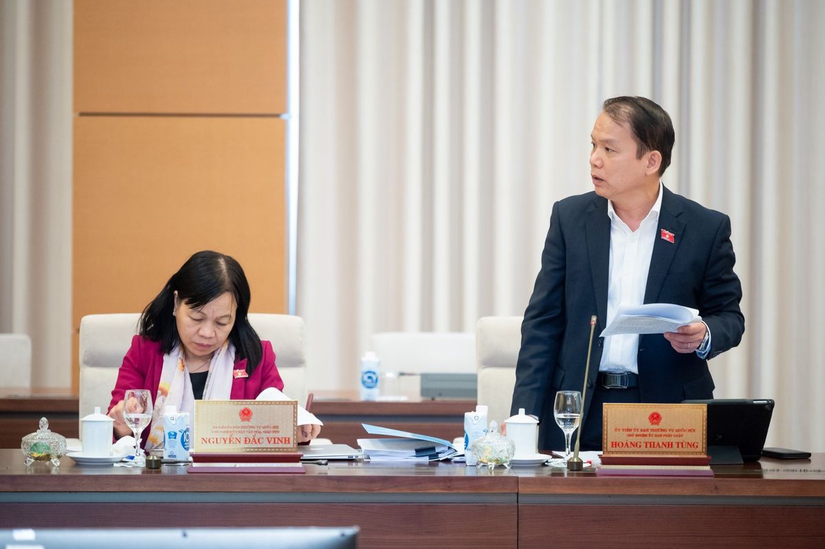 hoang-thanh-tung-6241.jpg