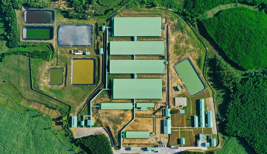 Trang trại chăn nuôi tách biệt hoàn toàn với khu dân cư, thiết kế đảm bảo an toàn sinh học của Công ty BaF Việt Nam
