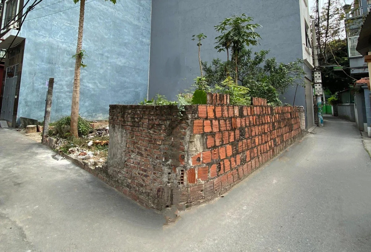 lo-dat-nam-trong-quy-hoach-1-1-5475.jpg