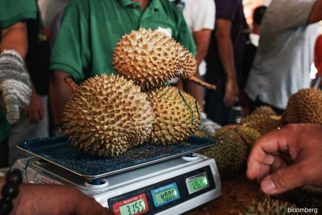 durian-malaysia-1-16792955854051795160556-7008.jpg