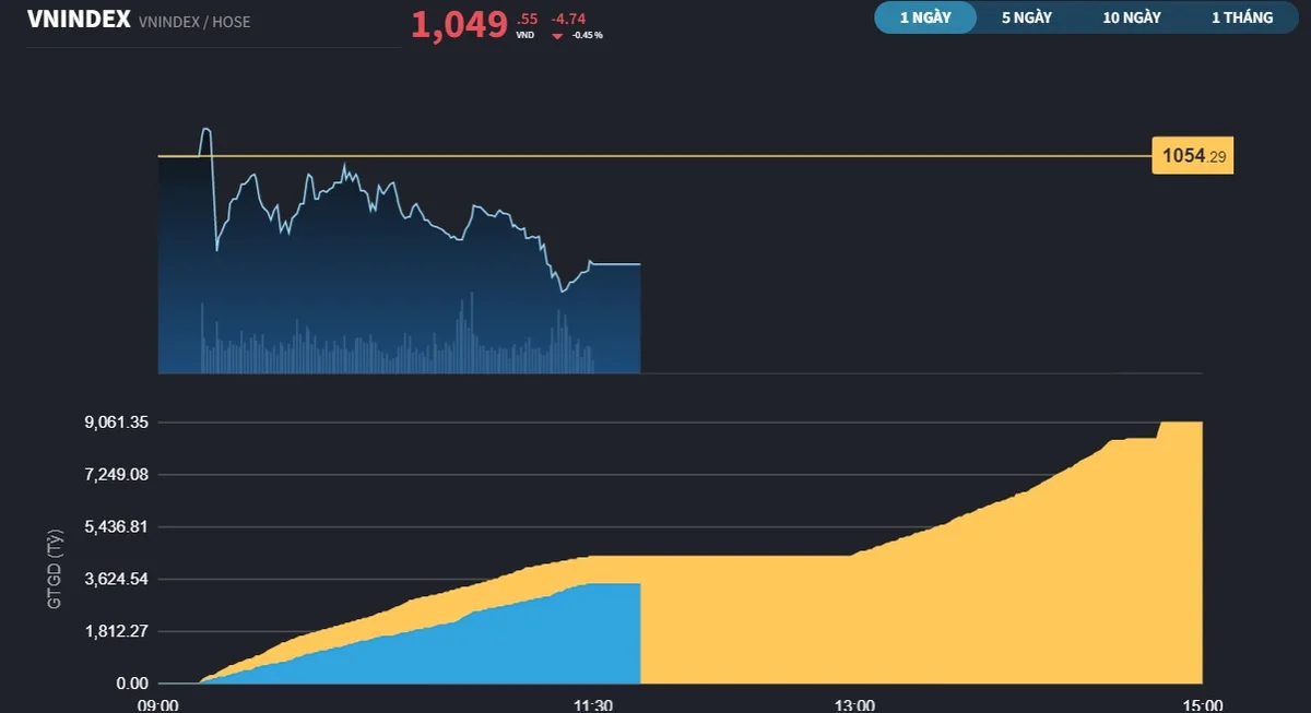 vnindex293a-8199.jpg