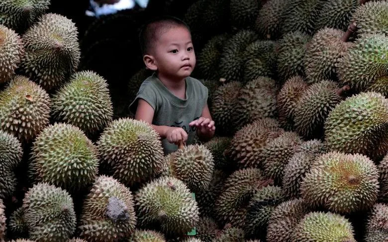 durian-thai-2322531-20220425162733-529.jpg