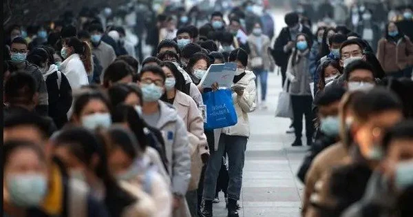 Thất nghiệp quá nhiều, Trung Quốc gửi 300.000 lao động trẻ về quê...chăn bò