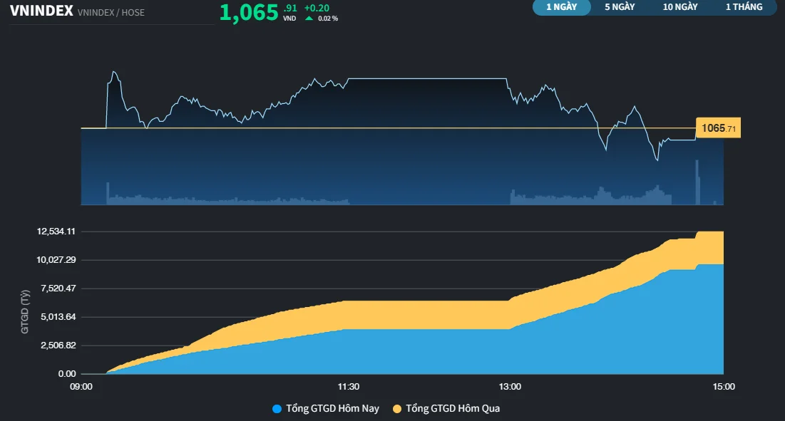 vnindex165a-2072.png