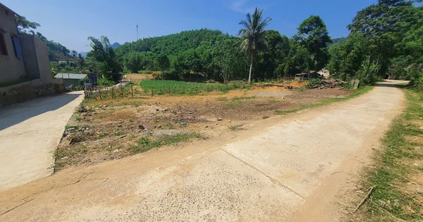 Môi giới "dụ" nhà đầu tư mua đất nông thôn 100-200 triệu đồng/lô, quên đi 5-10 năm sau sẽ lời gấp vài lần