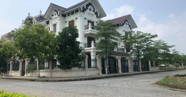 Giá chung cư nội thành ngang ngửa giá biệt thự, hơn 100 triệu đồng/m2, nên xuống tiền vào loại hình nào?