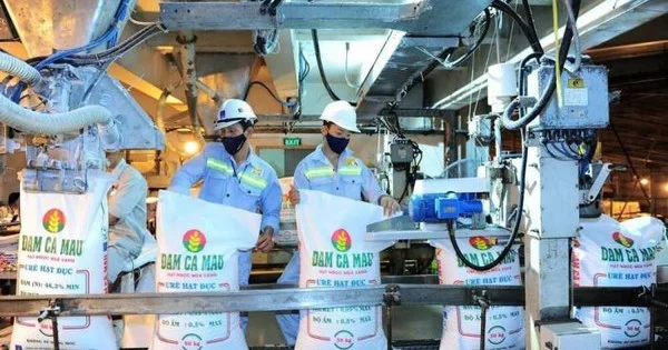 Đạm Cà Mau và Đạm Phú Mỹ đang hoạt động thế nào trước đề xuất ngừng toàn bộ nhà máy nhường khí cho sản xuất điện