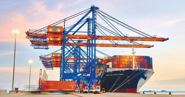 Gemadept (GMD) đặt mục tiêu lợi nhuận đi lùi, tạm dừng kế hoạch chào bán hơn 100 triệu cổ phiếu cho cổ đông hiện hữu