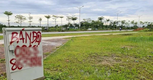 Hà Nội chuẩn bị đấu giá gần 200 lô đất giữa bối cảnh thị trường trầm lắng, giá khởi điểm có lô lên tới 7,7 tỷ đồng