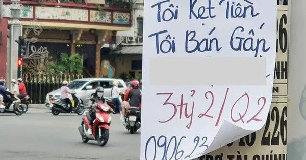 Sự thật về những thông tin "bán cắt lỗ" đất nền rầm rộ tại khắp nơi