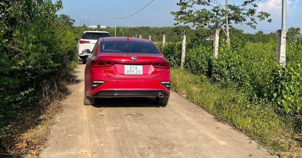 Nhà đầu tư ôm đất vườn tỉnh: "Được nửa giá, tôi cũng bán…"