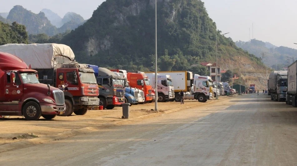 Ảnh minh họa.