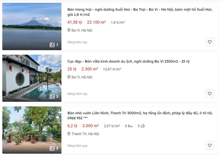 homestay-2-564.png