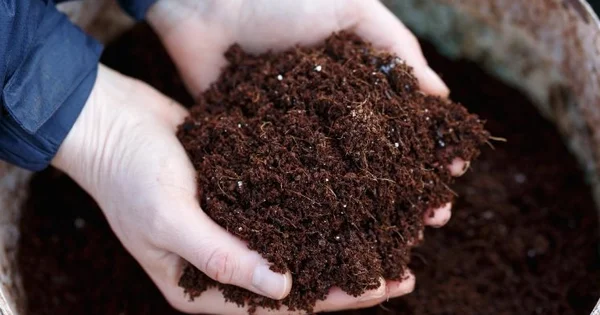 Mặt hàng này của Nga ồ ạt vào Việt Nam, nhập khẩu tăng gần 500% trong tháng 5, là mặt hàng Nga xuất khẩu đầu thế giới