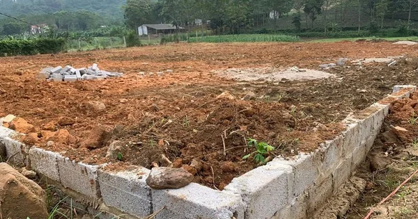 Đất giảm gần 50% nhưng khách thờ ơ, điều gì đang xảy ra với thị trường địa ốc?