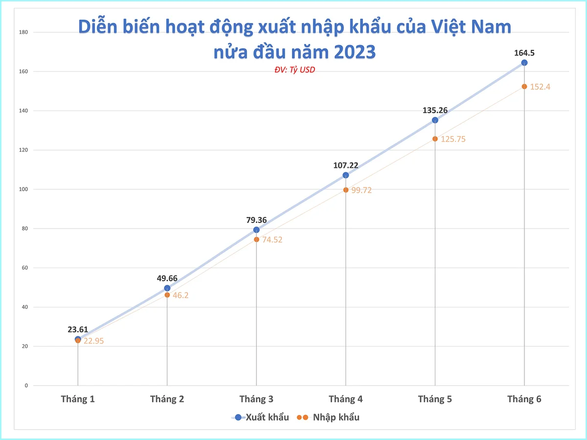 xnk-th-1347.jpg