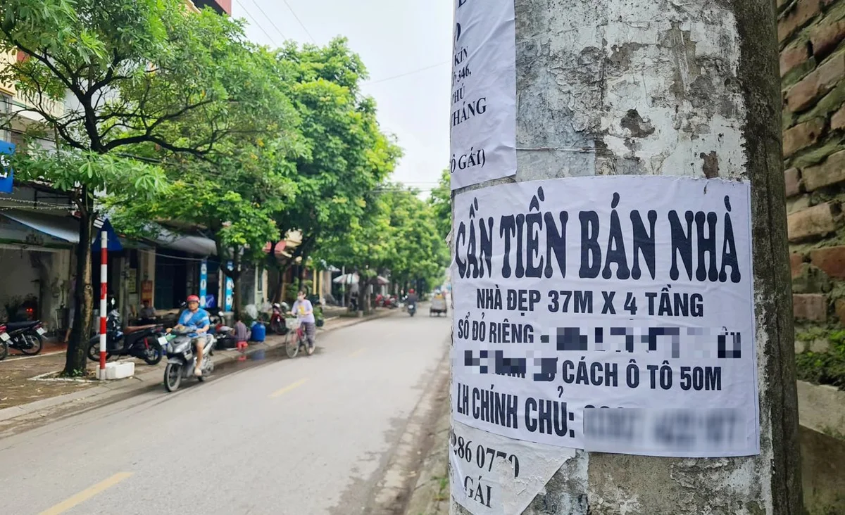 ban-nha1-4771.png