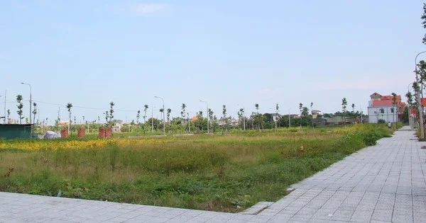 Hàng trăm lô đất sắp được các địa phương đấu giá trong tháng 6/2023