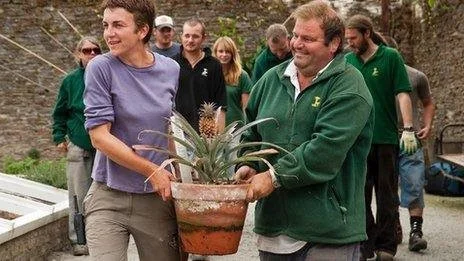 64929651-pineapple-6457.jpg