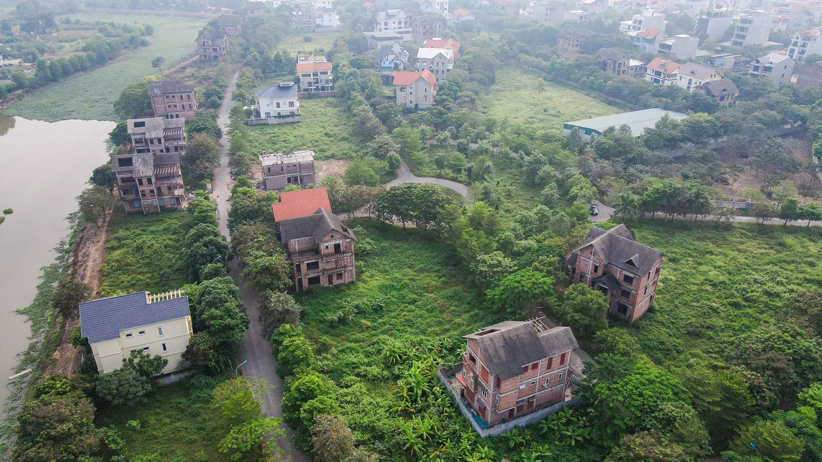 Ảnh minh họa.