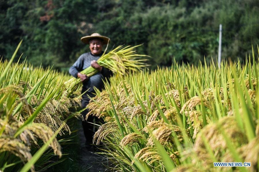 Lý do Trung Quốc đang đau đầu tìm cách "nuôi" 1,4 tỷ dân