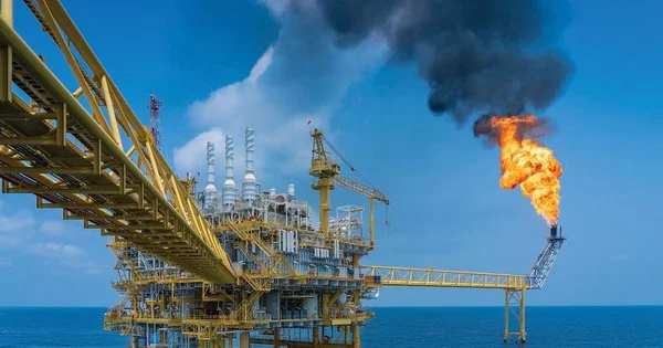 Doanh nghiệp dầu khí nào được dự báo có thể tăng trưởng mạnh nhất trong năm 2024?